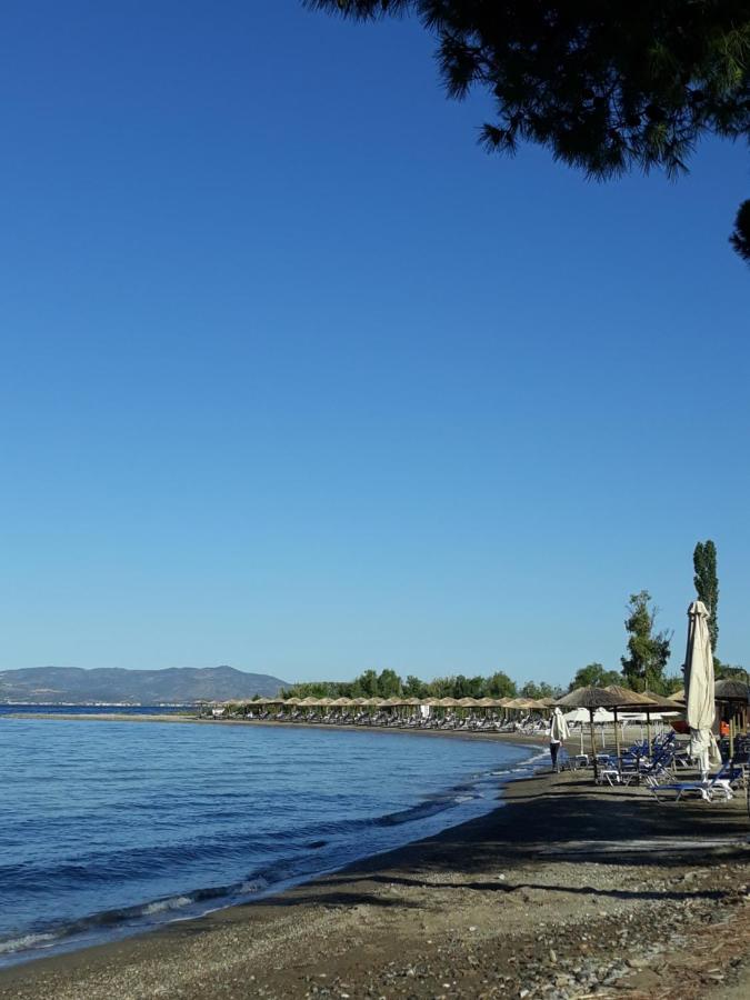 Gorjelina 'S House Villa Volos Exterior photo