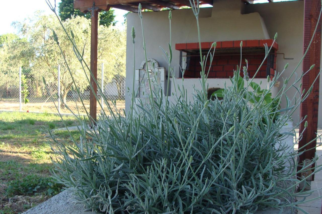 Gorjelina 'S House Villa Volos Exterior photo